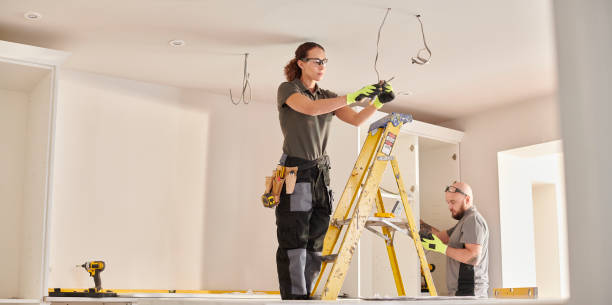 Best Electrical Troubleshooting Services  in Howey In The Hills, FL