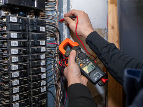 Best Electric Panel Repair  in Howey In The Hills, FL