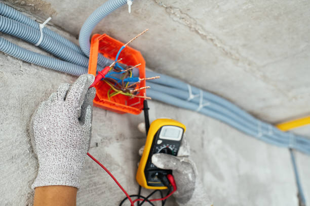 Best Electrician for Home Renovation  in Howey In The Hills, FL